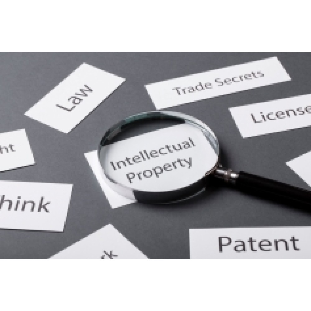 Certificate in Intellectual Property (CIP)