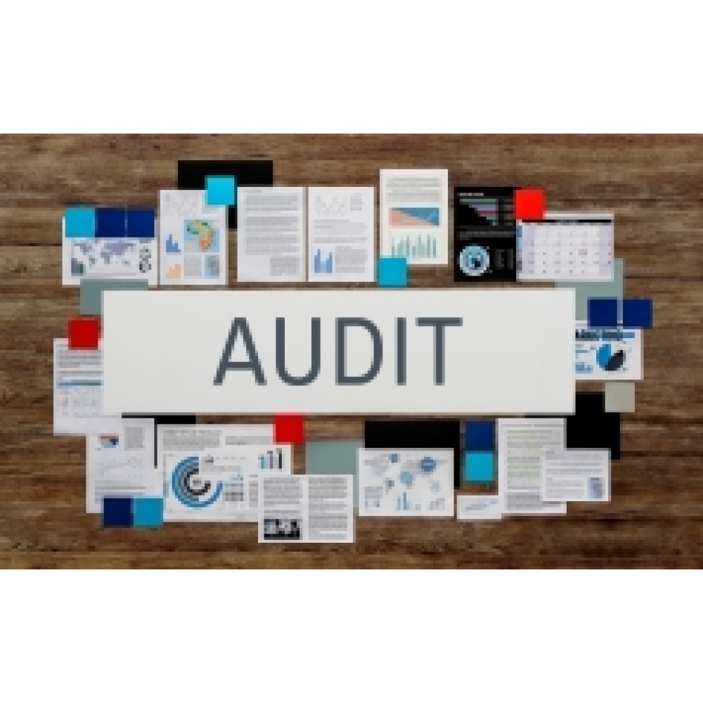 Certificate in Modern Internal Audit Practices (CMIAP)