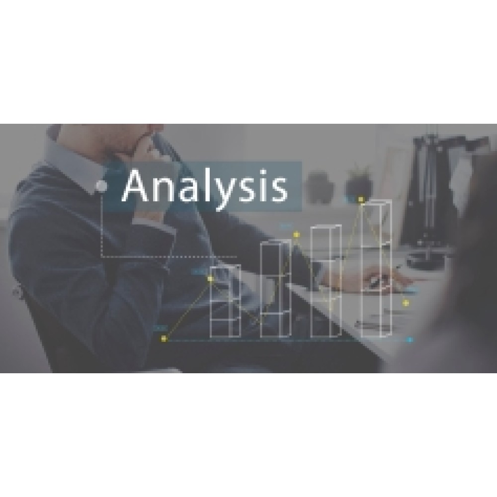 Data Analysis for Internal Auditing