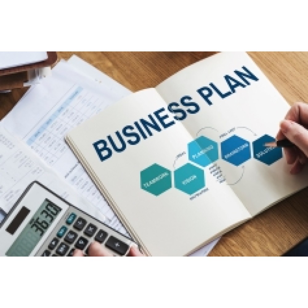 Developing and Implementing the Business Plan