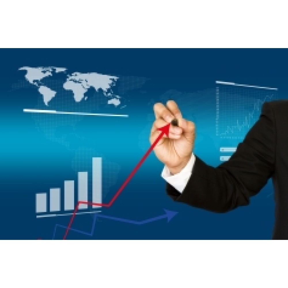 Economics for Business Professionals