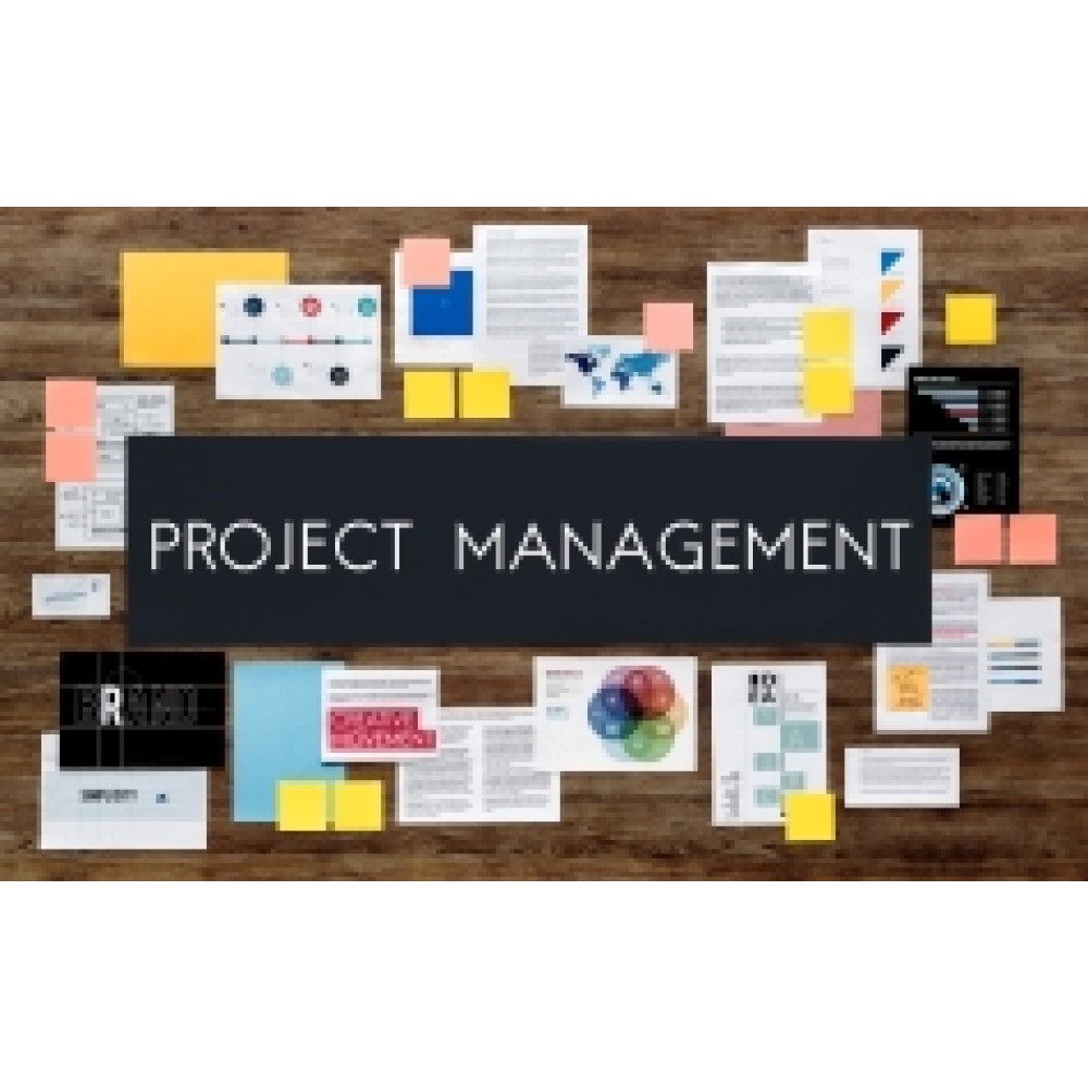 Project Portfolio Management: Skills and Techniques